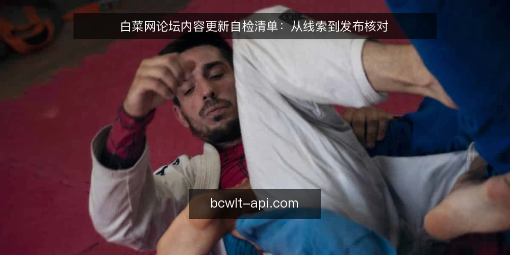 白菜网论坛内容更新自检清单：从线索到发布核对 — 为何现在进行内容更新自检 配图