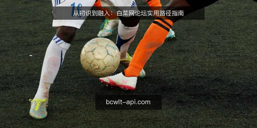 从初识到融入：白菜网论坛实用路径指南 — 起点：认识白菜网论坛的定位与规则 配图