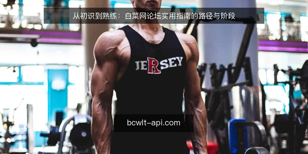 从初识到熟练：白菜网论坛实用指南的路径与阶段 — 白菜网论坛是什么？新手如何迈出第一步？ 配图