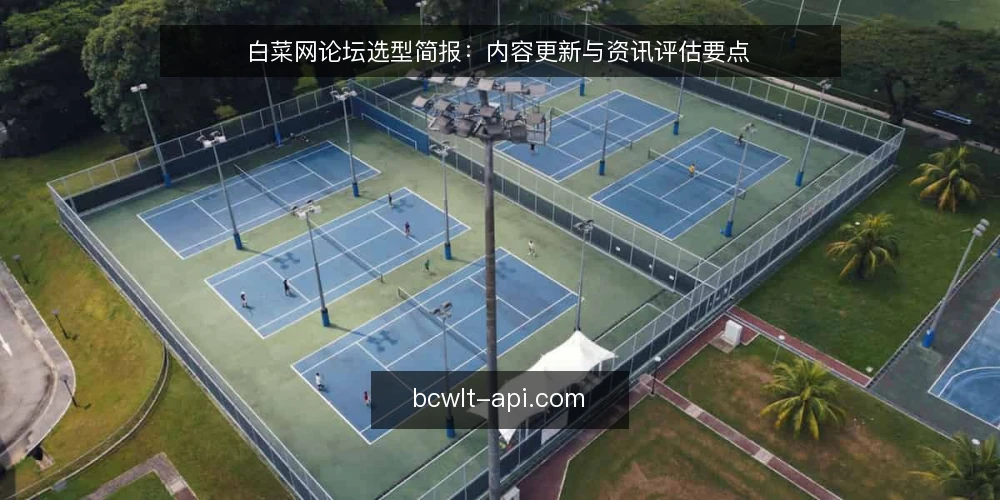 白菜网论坛选型简报：内容更新与资讯评估要点 — 界定需求：为什么需要白菜网论坛资讯 配图