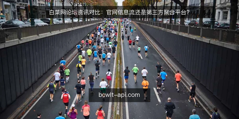白菜网论坛资讯对比：官网信息流还是第三方聚合平台？ — 明确需求：你究竟需要什么类型的白菜网论坛资讯 配图