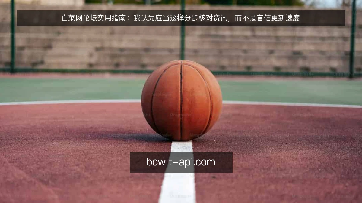 白菜网论坛实用指南：我认为应当这样分步核对资讯，而不是盲信更新速度