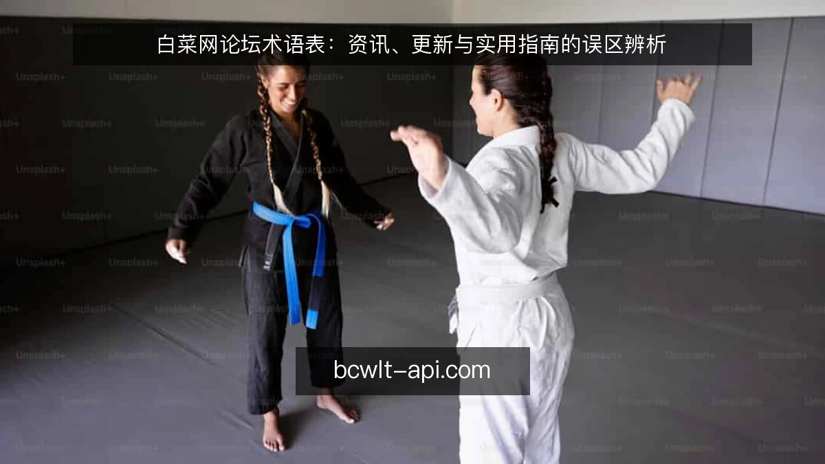 白菜网论坛术语表:资讯、更新与实用指南的误区辨析