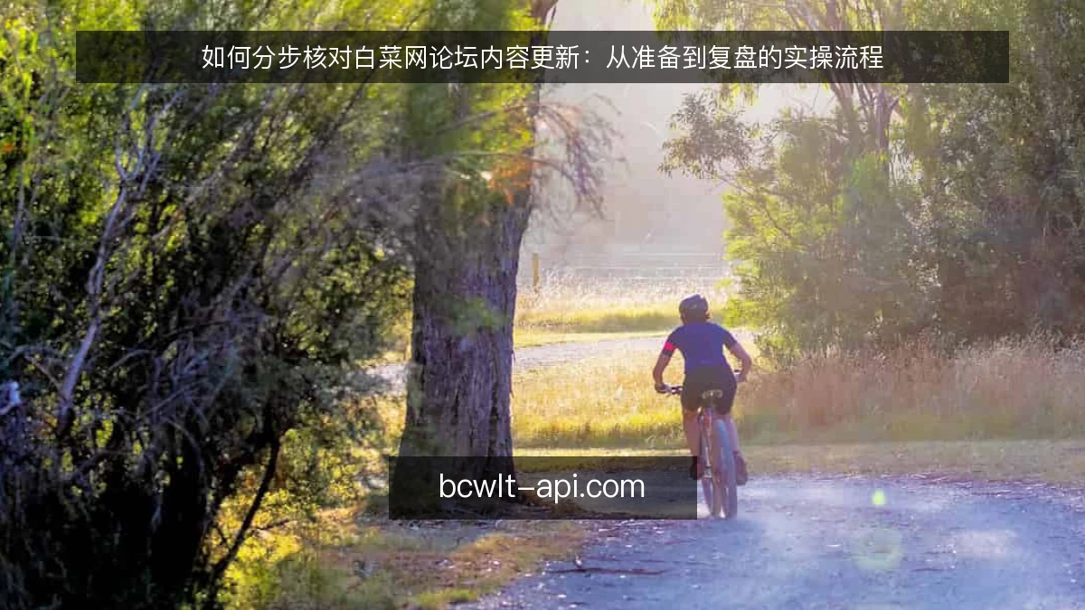 如何分步核对白菜网论坛内容更新：从准备到复盘的实操流程