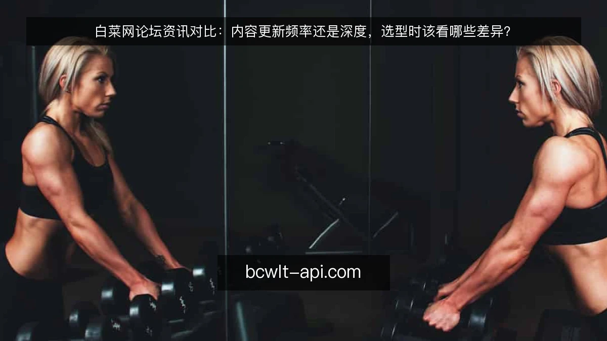 白菜网论坛资讯对比：内容更新频率还是深度，选型时该看哪些差异？