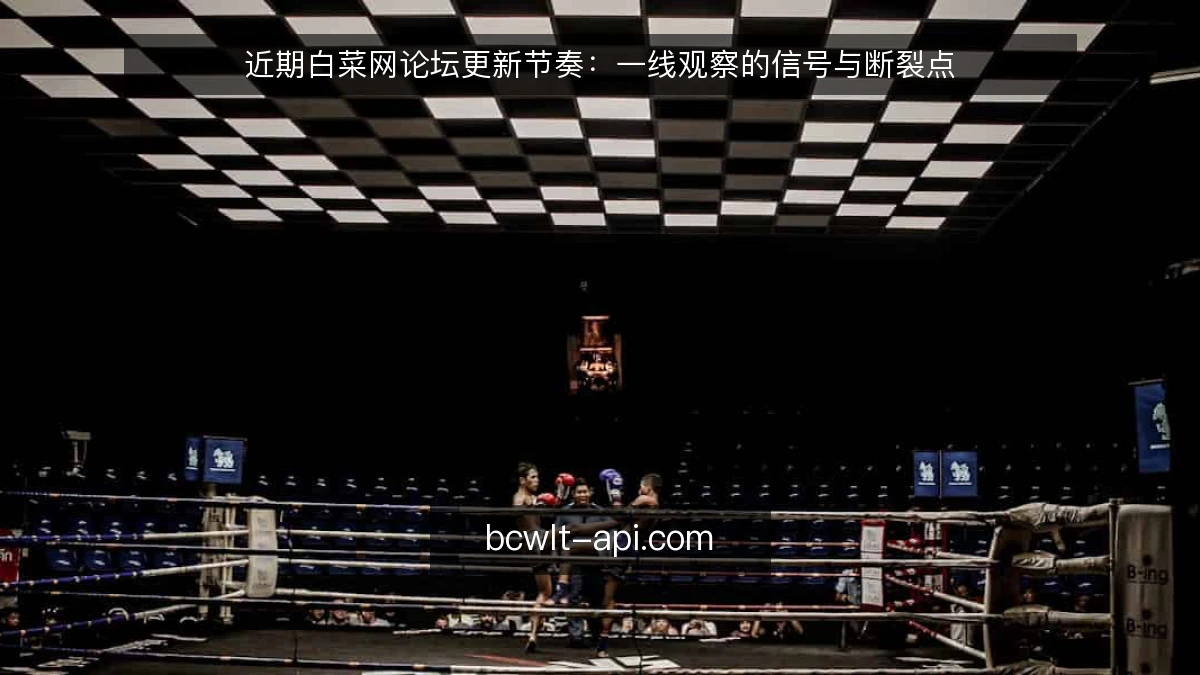 近期白菜网论坛更新节奏：一线观察的信号与断裂点