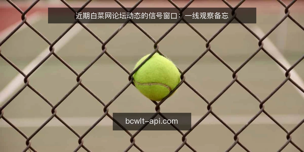 近期白菜网论坛动态的信号窗口：一线观察备忘 — 近期值得盯住的信号 配图