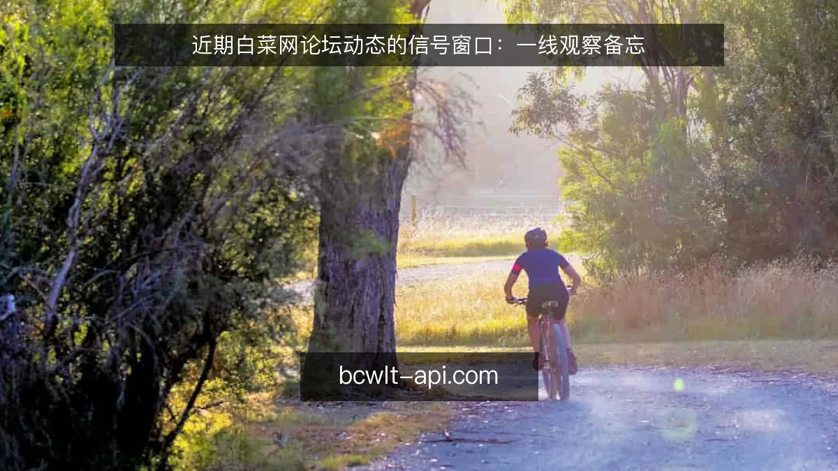 近期白菜网论坛动态的信号窗口：一线观察备忘