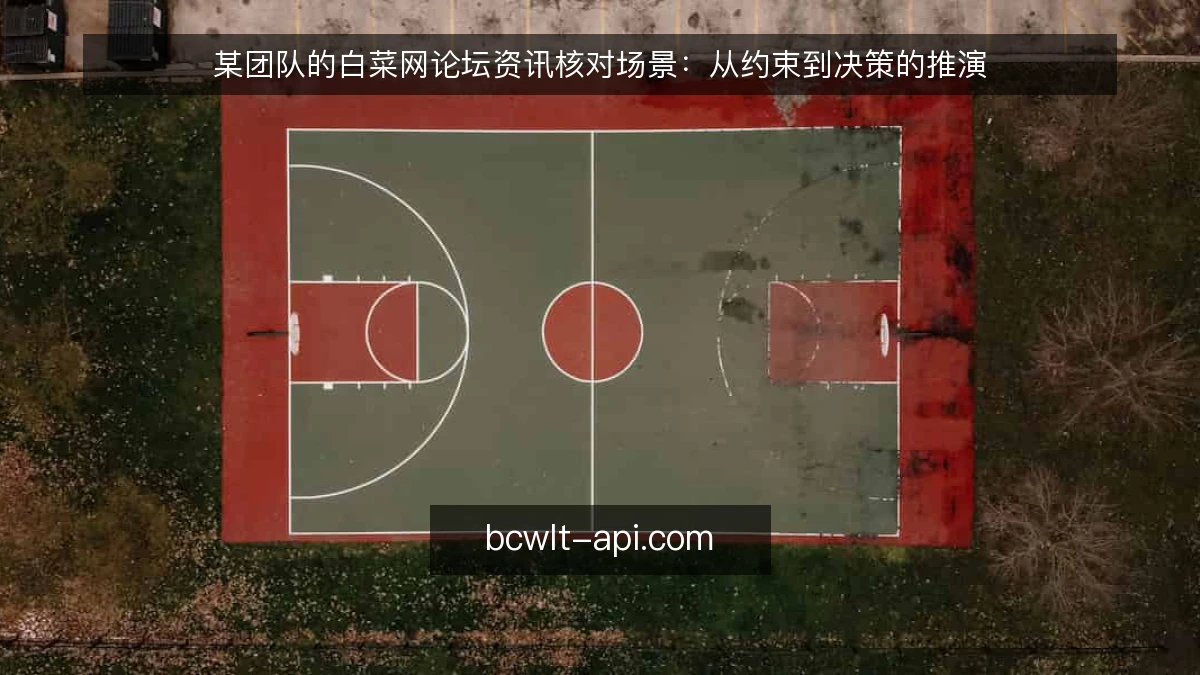 某团队的白菜网论坛资讯核对场景：从约束到决策的推演