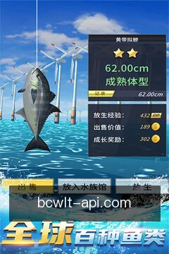 获取动态速递